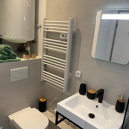 Chaleureux F2 Dans L'hypercentre Colmarien Apartamento *