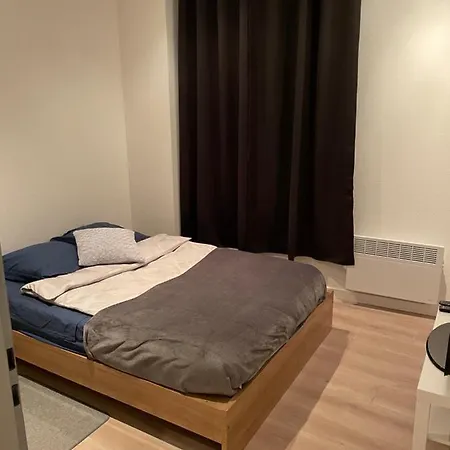 Chaleureux F2 Dans L'hypercentre Colmarien Apartment Colmar