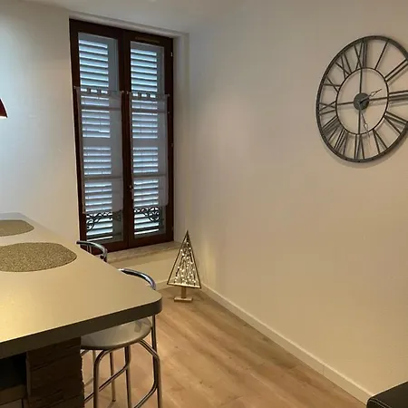 Apartment Chaleureux F2 Dans L'hypercentre Colmarien