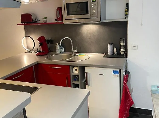 Apartment Chaleureux F2 Dans L'hypercentre Colmarien *