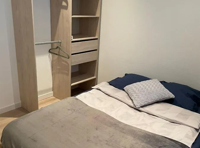 Chaleureux F2 Dans L'hypercentre Colmarien *